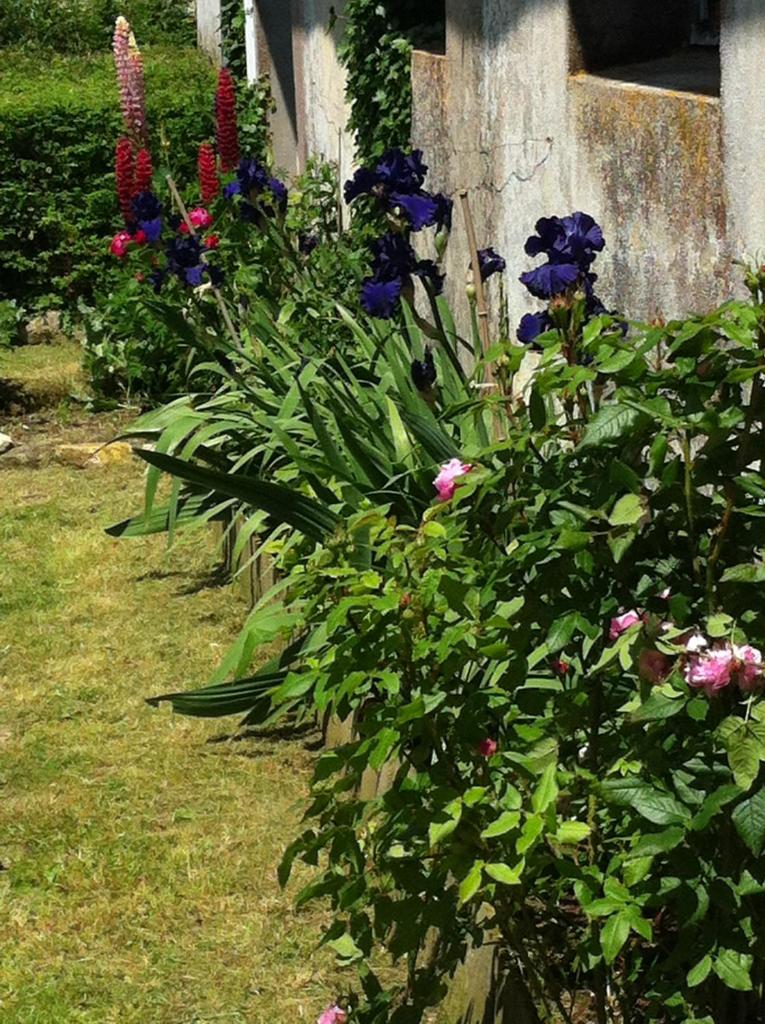 Ferme de Maillezais photo 2