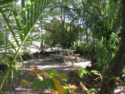 Crab Claw Island photo 3