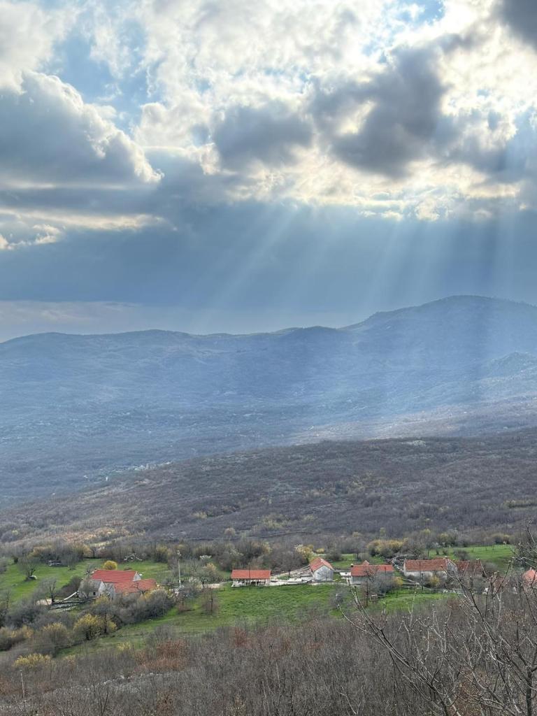 Bodenik photo 1