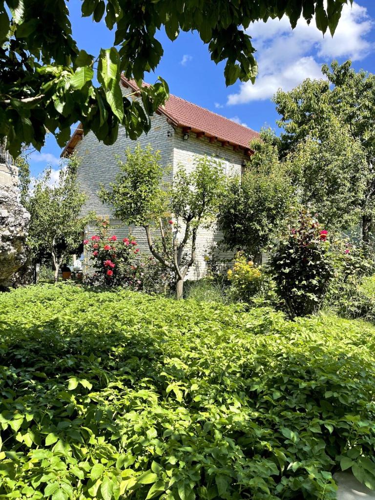 Villa Tomorrow photo 1