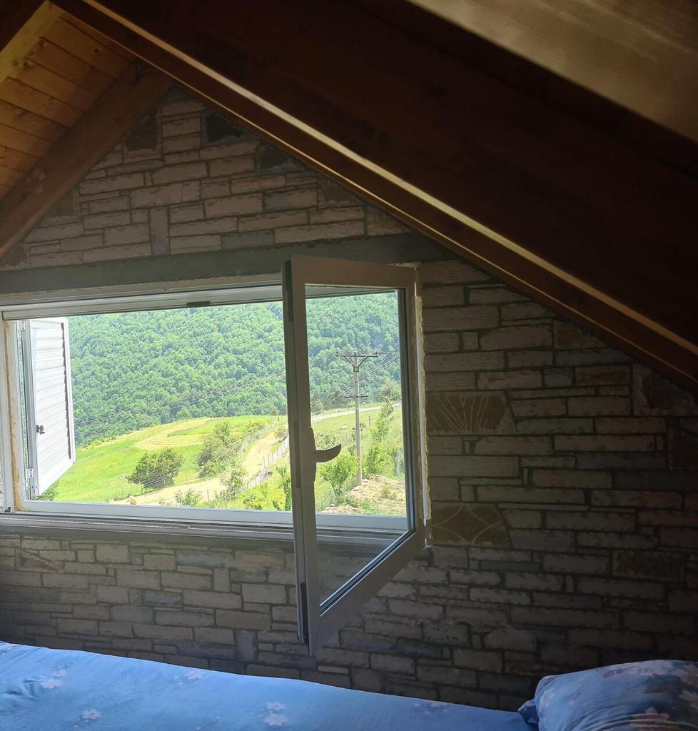 Villa Tomorrow photo 3