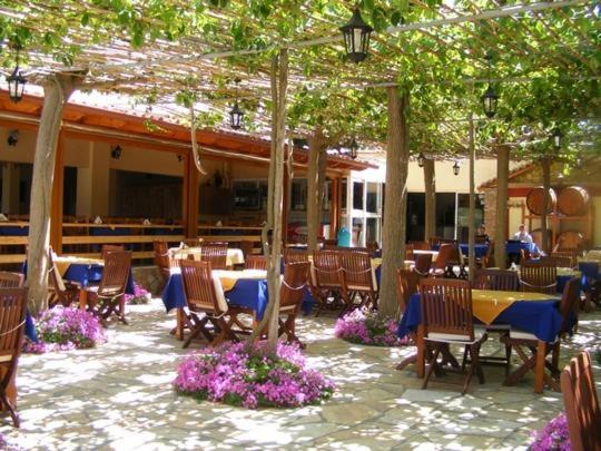 Lintzi Hotel photo 4