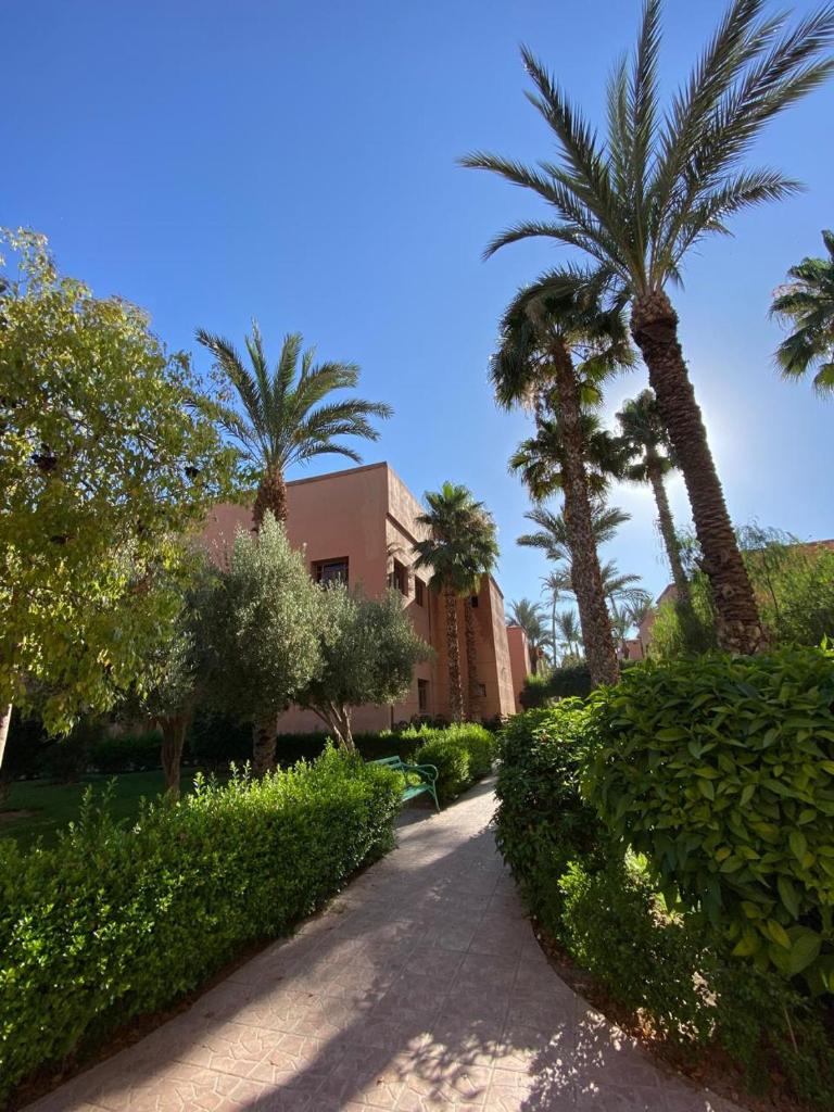 Riad butterfly Marrakech - Tap to explore photos