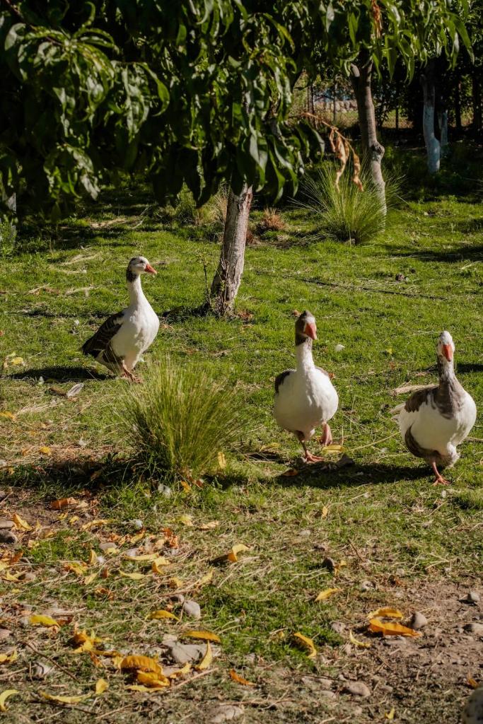 Casa de Campo Kagua Kolke 6Pax By Inside photo 1