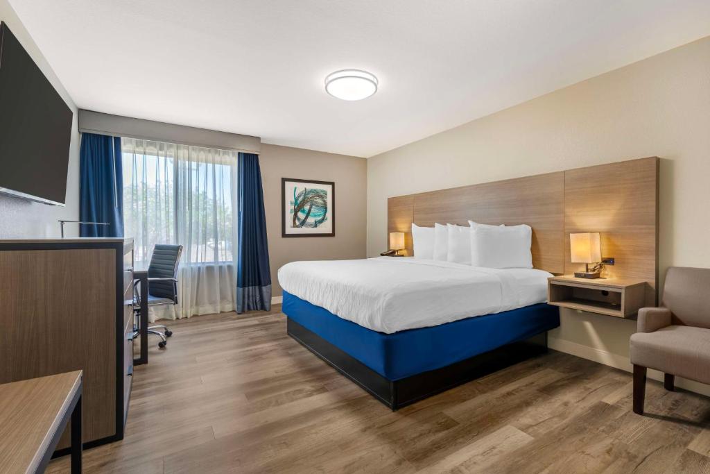 Best Western Plus Lewisville/Coppell - Tap to explore photos