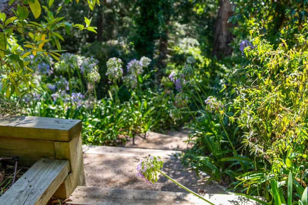 Dromana Tree House Private Gardens & Ocean Views photo 2