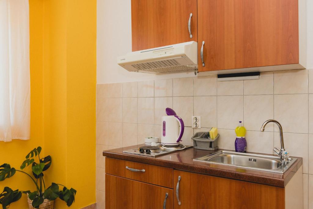Студио (Номер-студио с балконом), Apartments Lovrić