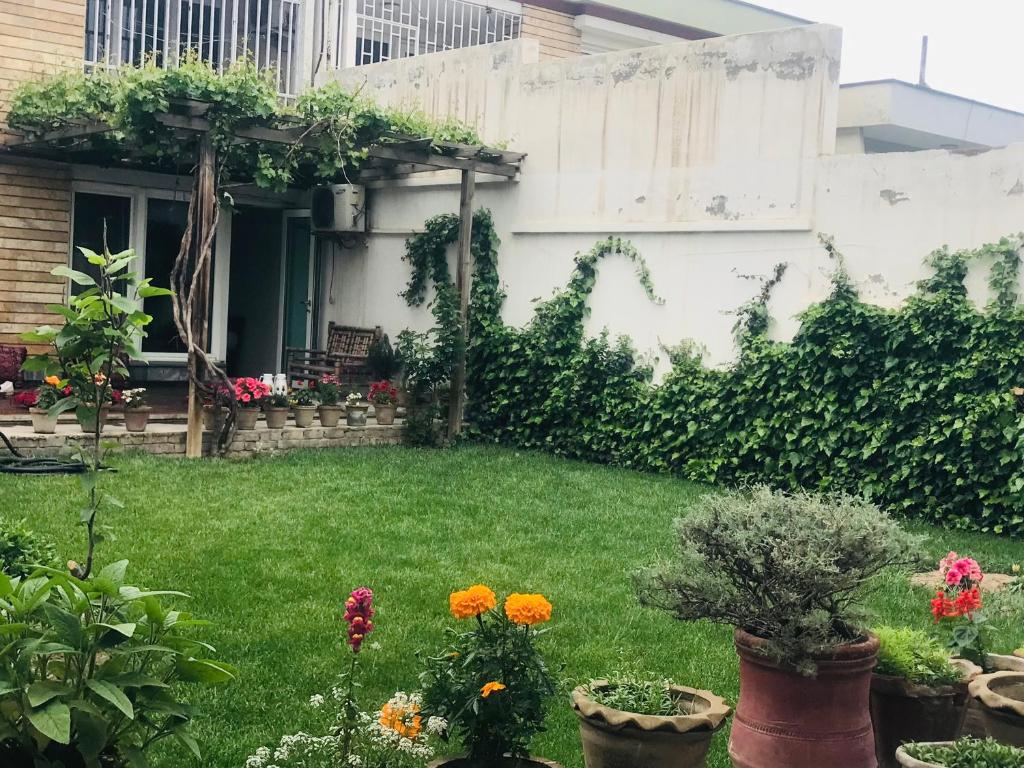 Zaman Sarai photo 3