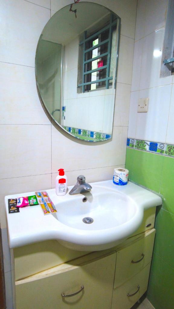 Premium Family Deluxe Apartment photo 4