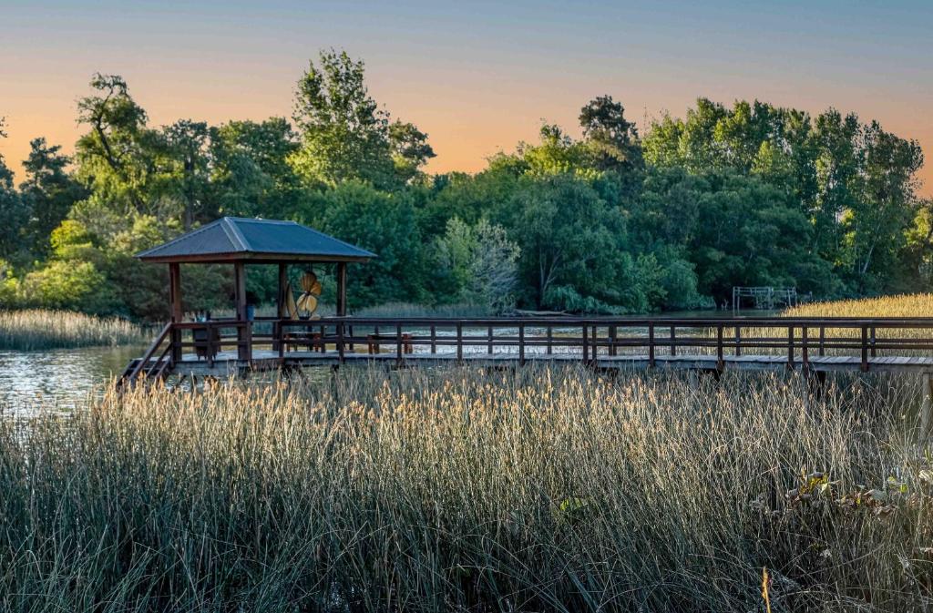 Delta Eco Resort & Spa photo 3