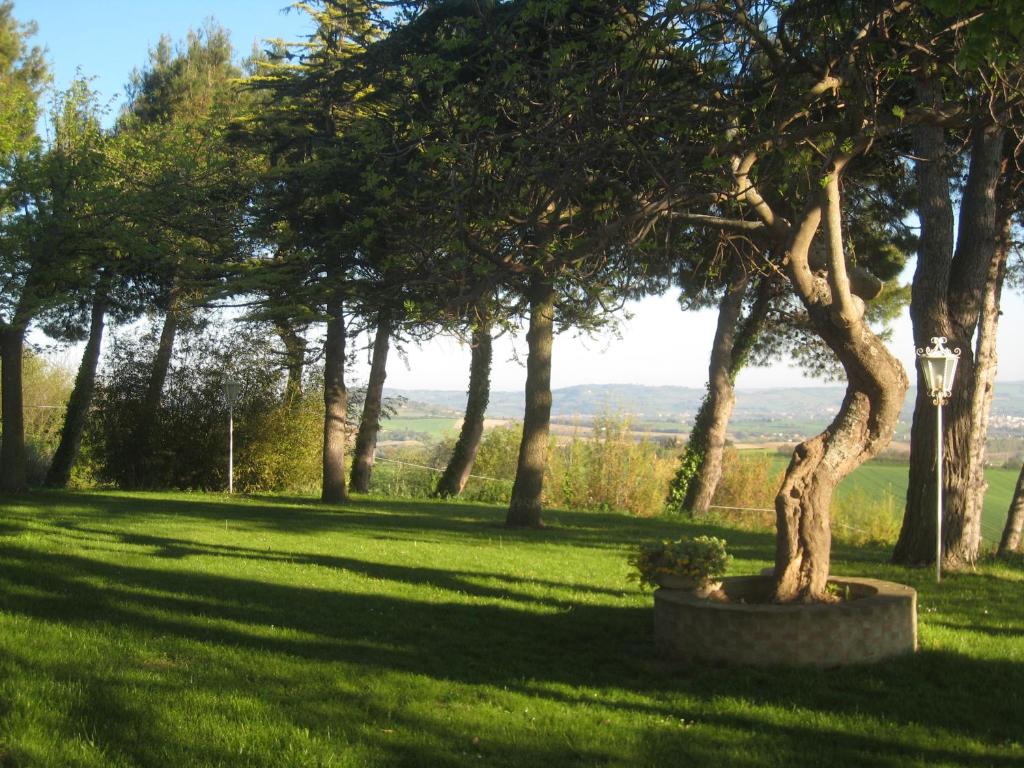 Collesole photo 2