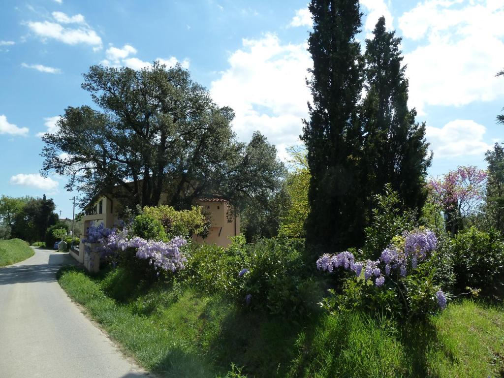 Al Vecchio Leccio photo 1