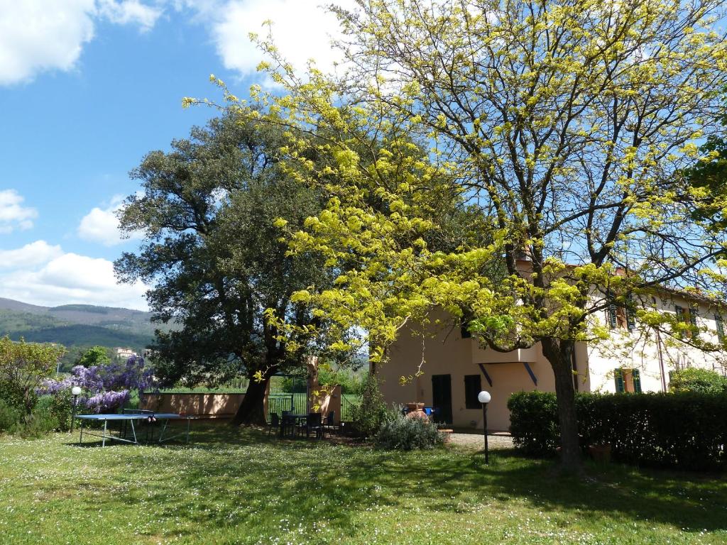 Al Vecchio Leccio photo 4
