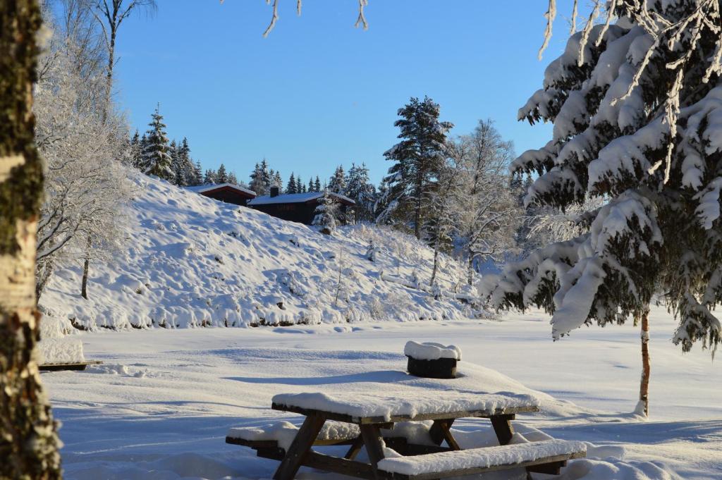 Trysil Hyttegrend photo 4