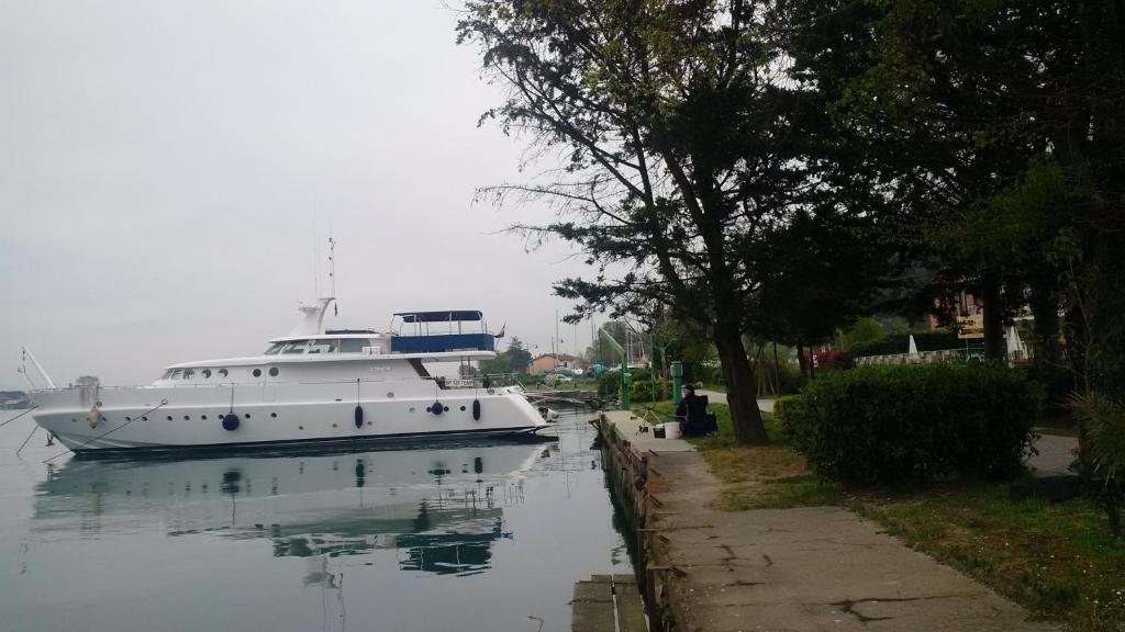 Cohete Boat photo 4