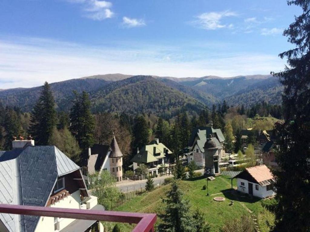 Двухместный (Двухместный номер с 1 кроватью и видом на горы), Hotel Marea Neagra