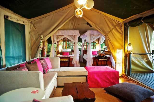 Samburu Intrepids Tented Camp photo 4
