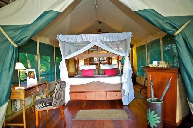 Samburu Intrepids Tented Camp photo 1