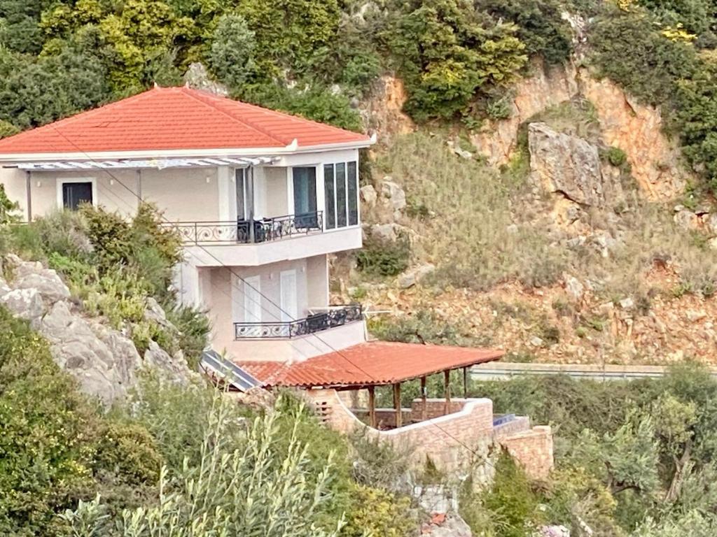 VILA ELEZI Piqeras photo 4