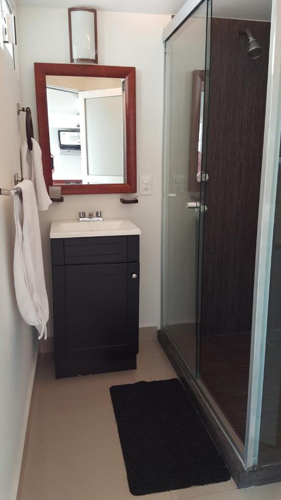 Одноместный (Апартаменты (для 1 взрослого)), Grupo Kings Suites - Bosques de Duraznos 78