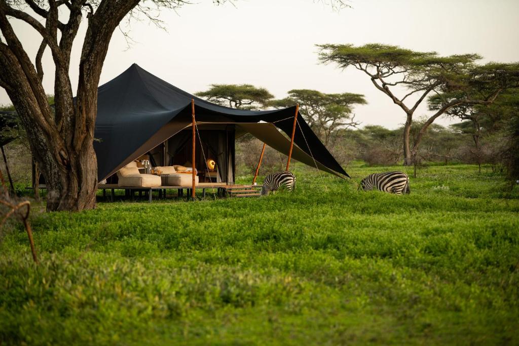 Nyuki Migration Camp - Tap to explore photos