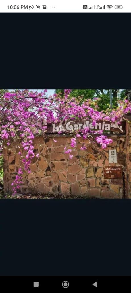La Gardenia photo 3