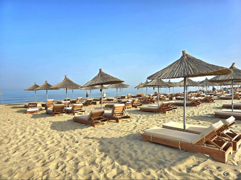 Next to Melia Premium SanPietro photo 3