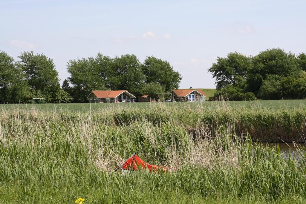 Op Lundingland photo 1
