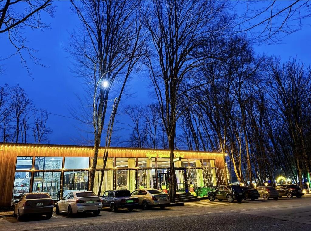Aynur Forest A-Frame Houses photo 1