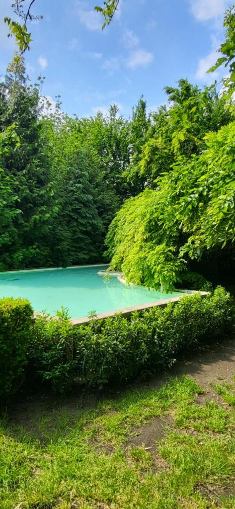 The Secret Garden photo 2
