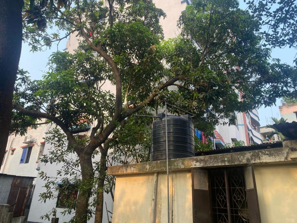 Tin House photo 1