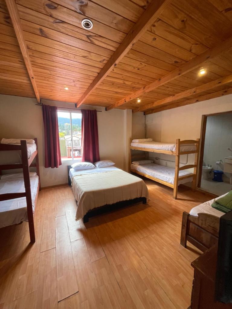 LIORA Hostal photo 1