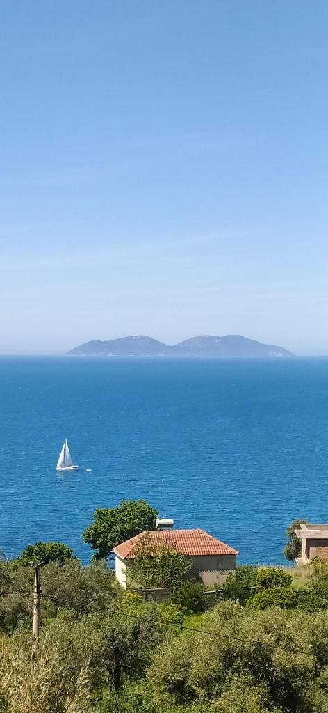 Pinwheel Hostel Vlora & Rooftop Bar