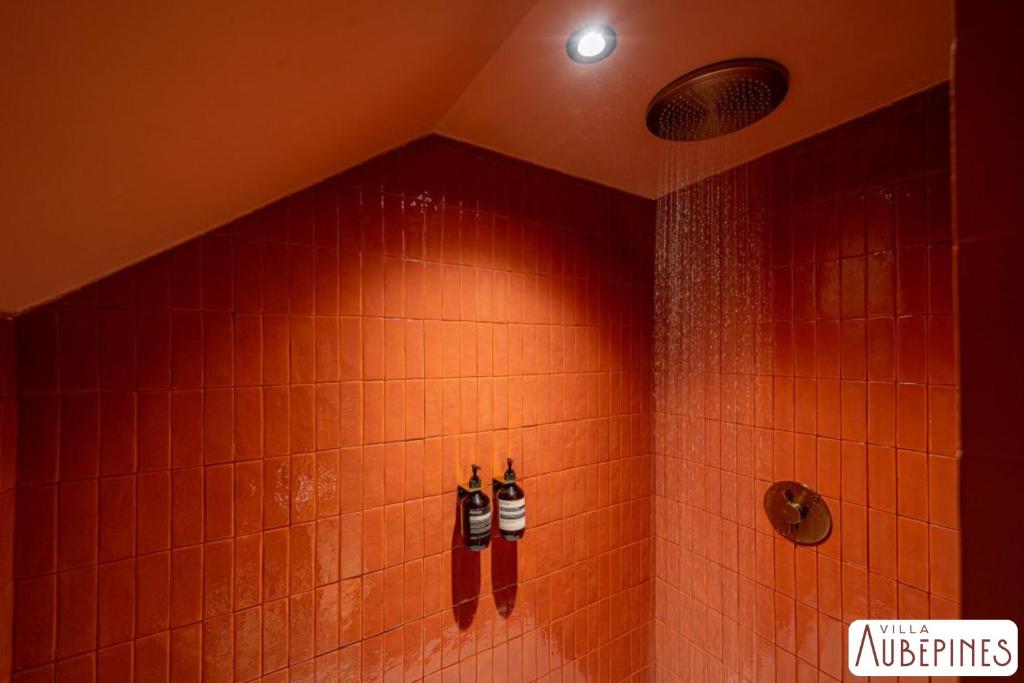 Villa Aubépines photo 3