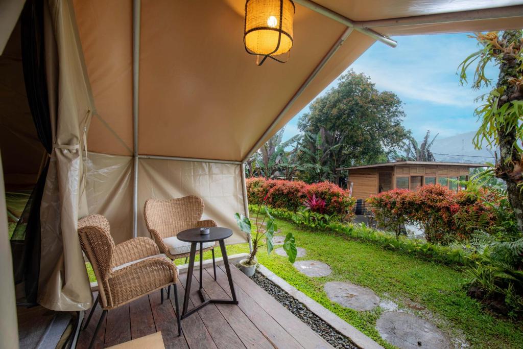 Alamu Eco Lodge photo 4