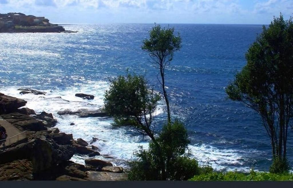Eliza's Island photo 2