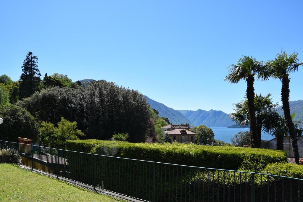 Casina photo 3