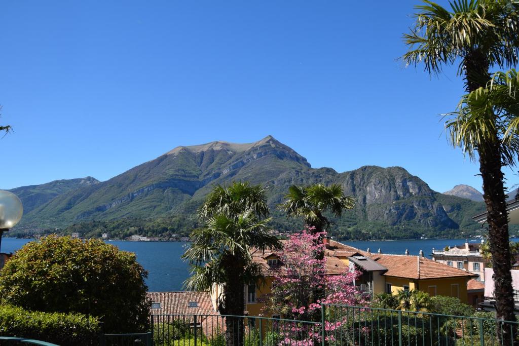 Casina photo 2