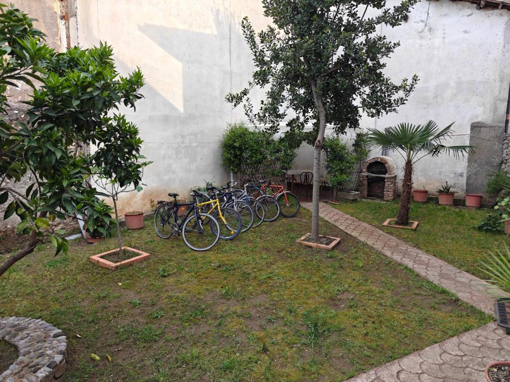 Bliss Inn Hostel & Tours photo 4