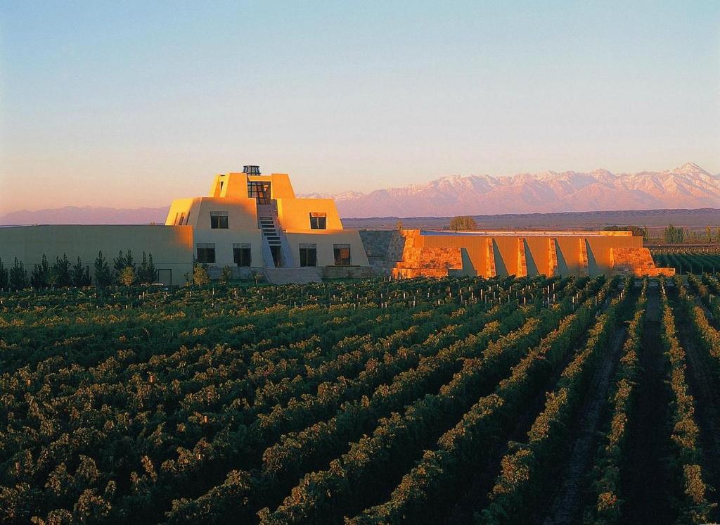 Winemakers' House photo 3