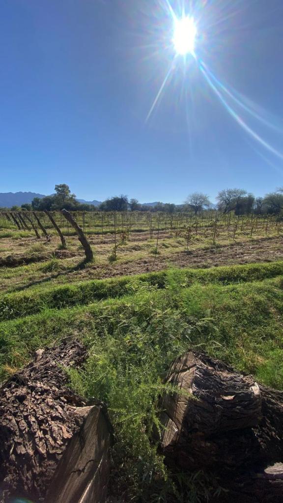 Finca La Dionisia