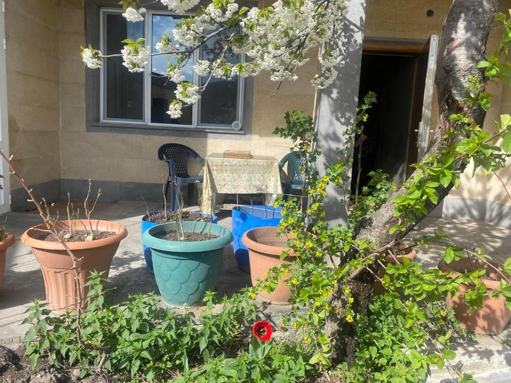 Guest House Lyudmila photo 1