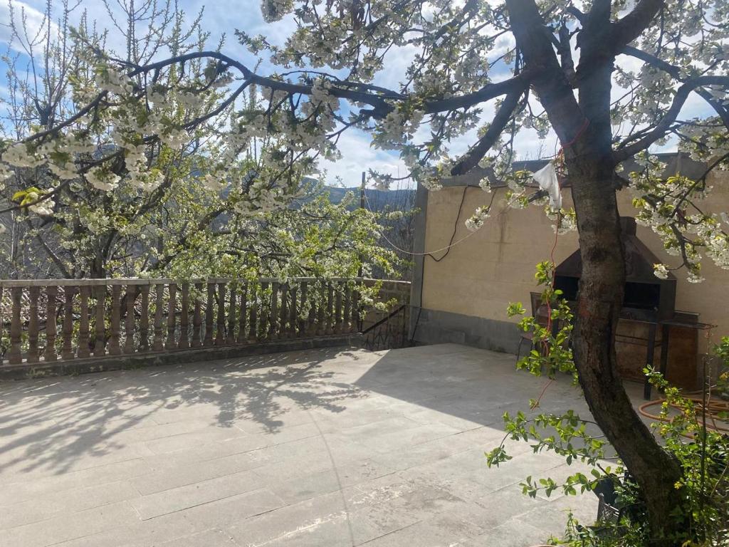 Guest House Lyudmila
