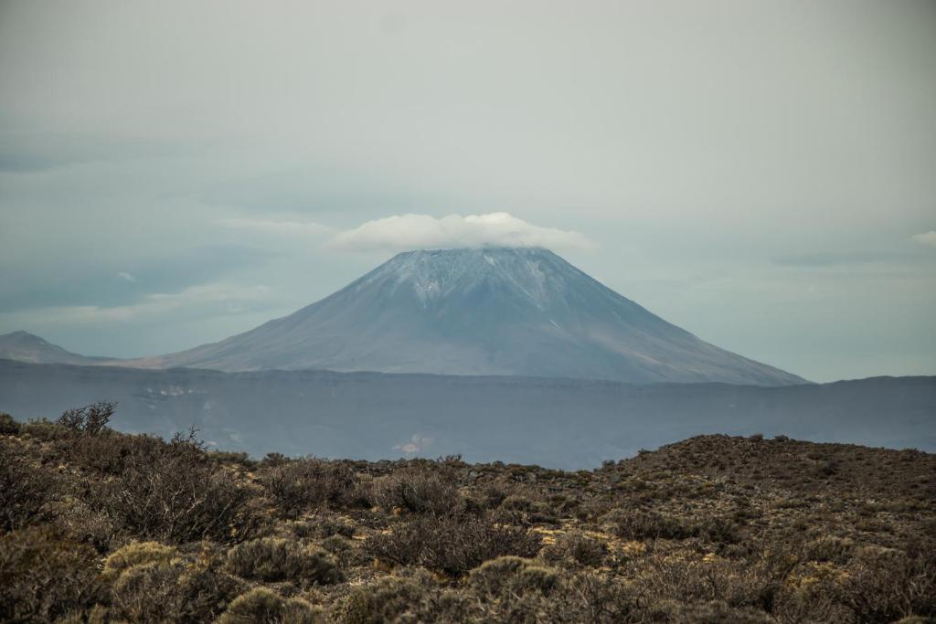 Calmuco Shelter photo 3