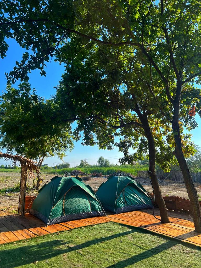 Demi camping photo 1