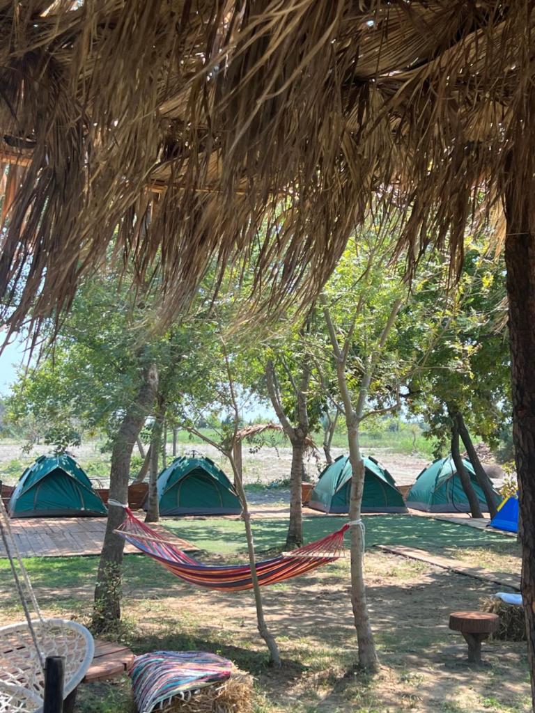 Demi camping photo 3
