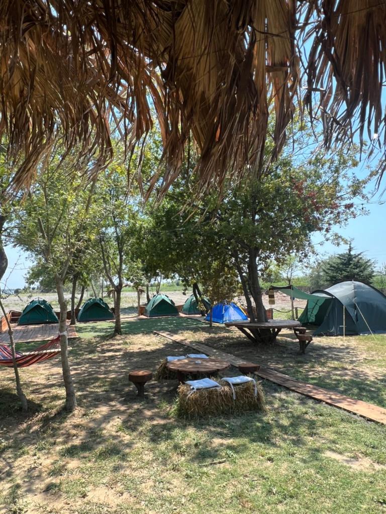 Demi camping photo 4