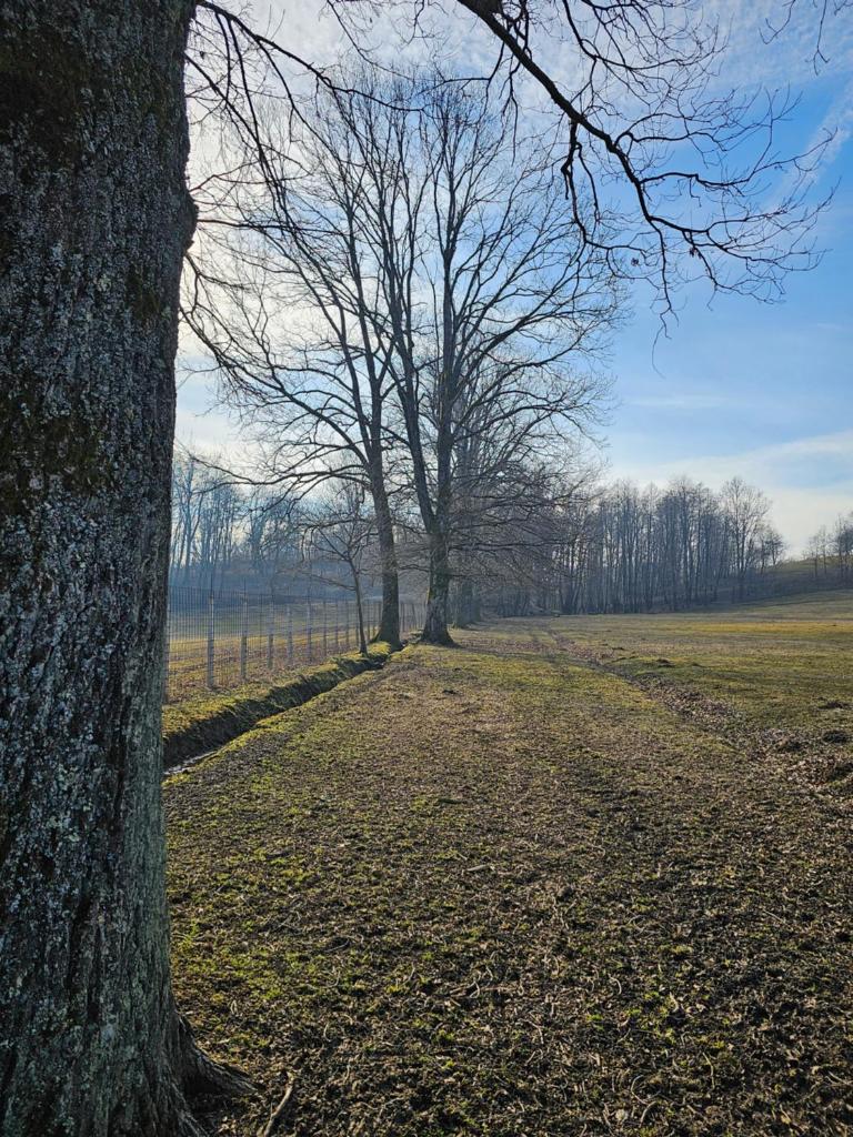 Camping Stevin ranc photo 1