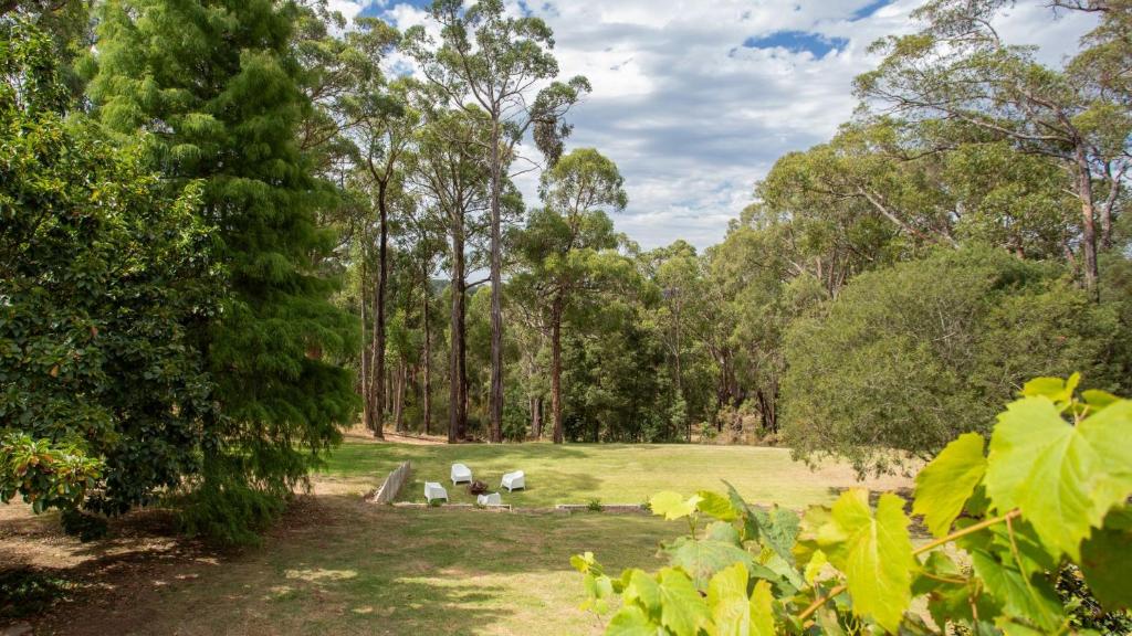 Forest Hideaway photo 1