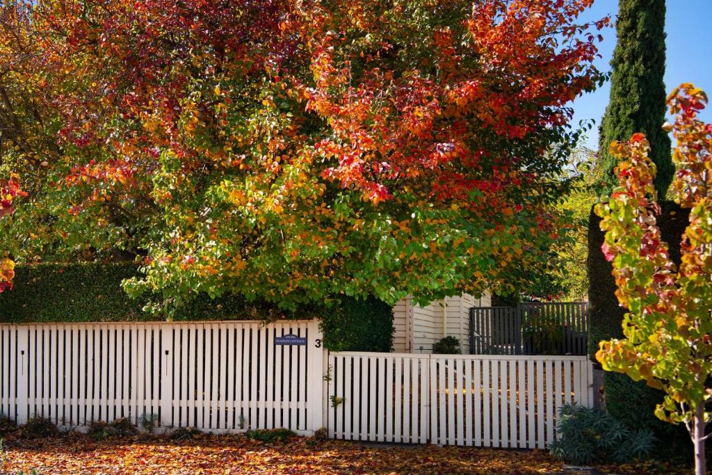 Durham Cottage photo 4